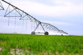 العراق يمنع استيراد 44 منتجاً ومحصولاً زراعياً وحيوانياً مناقشة مقترح لتصدير فائض المنتجات الزراعية العراقية